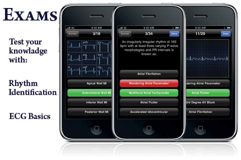 iPhone Screenshot 3