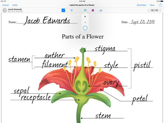 iPad Screenshot 4