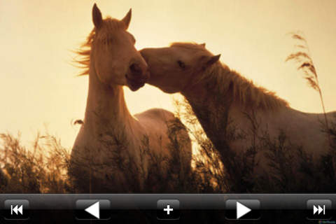 iPhone Screenshot 1