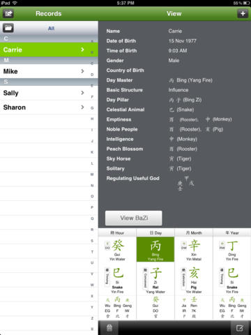 iPad Screenshot 3