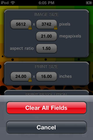 iPhone Screenshot 4