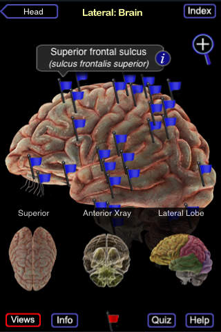 iPhone Screenshot 2