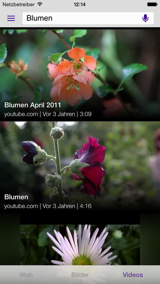 iPhone Screenshot 3