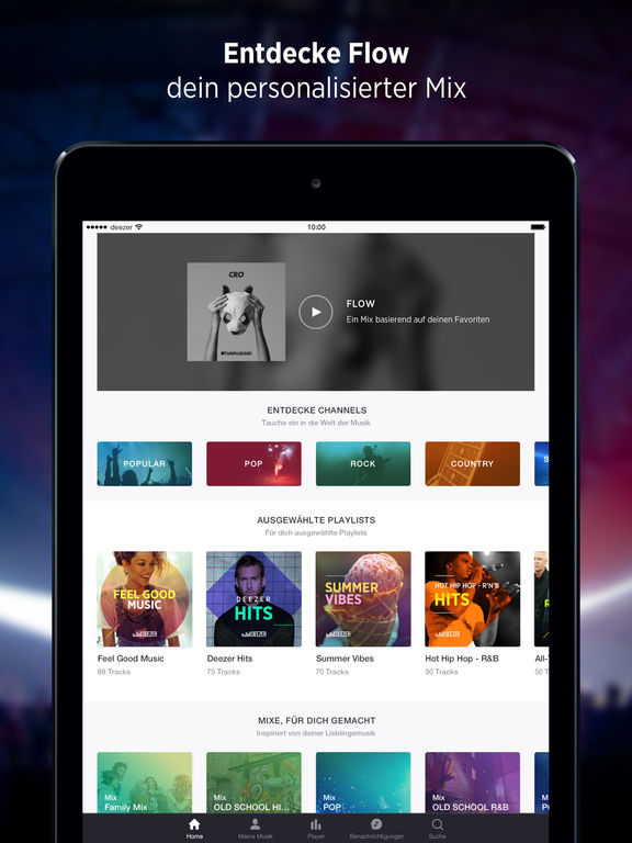 iPad Screenshot 2