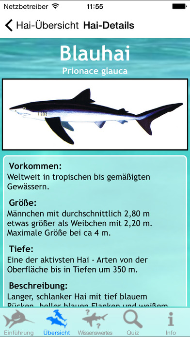 iPhone Screenshot 3