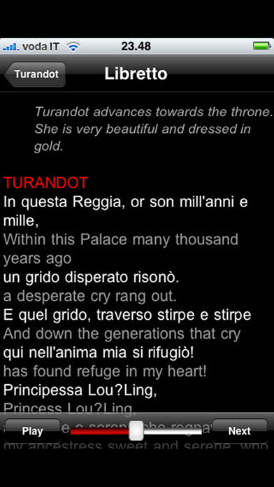 iPhone Screenshot 2