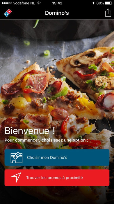 Dominos france coupons