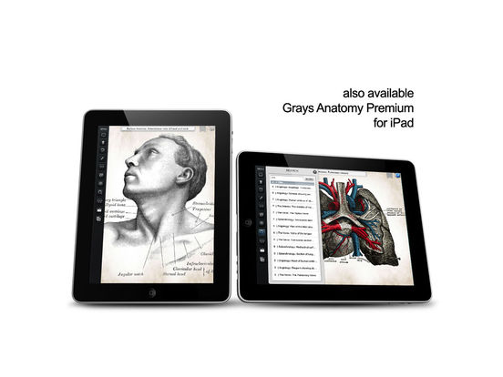 iPad Screenshot 4
