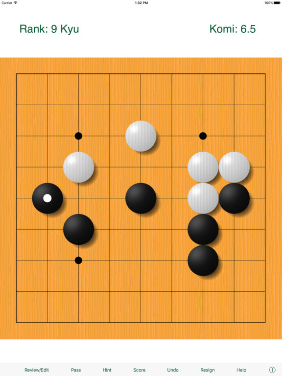 iPad Screenshot 5