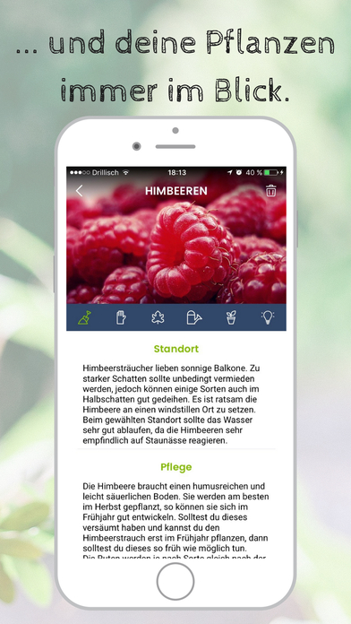 iPhone Screenshot 3