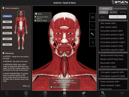 iPad Screenshot 1