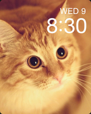 iPhone Screenshot 4