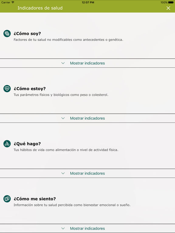 Captura de pantalla del iPad 4