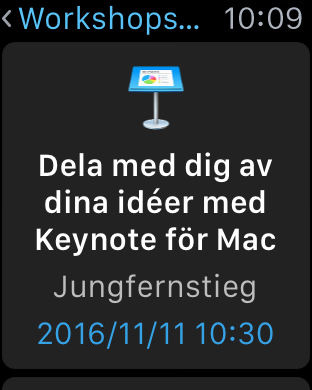 iPhone-skärmavbild 4