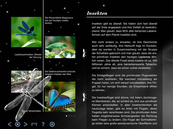 iPad Screenshot 2