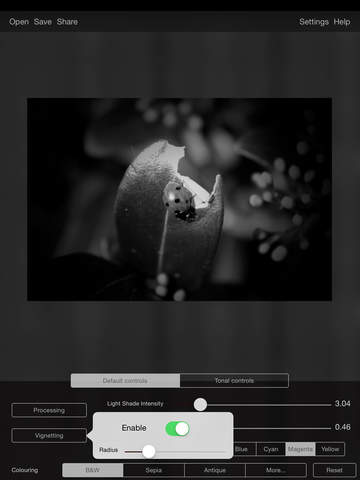 iPad Screenshot 4