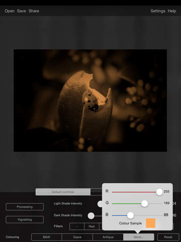 iPad Screenshot 3