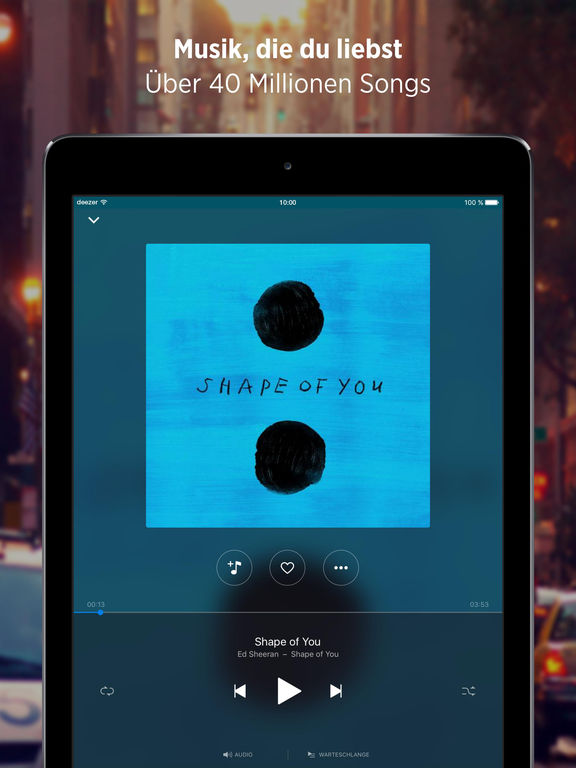 iPad Screenshot 1