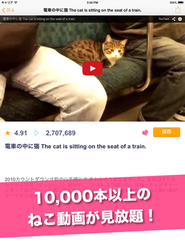 日刊ねこ動画 - CatTube 猫動画まとめアプリのおすすめ画像1