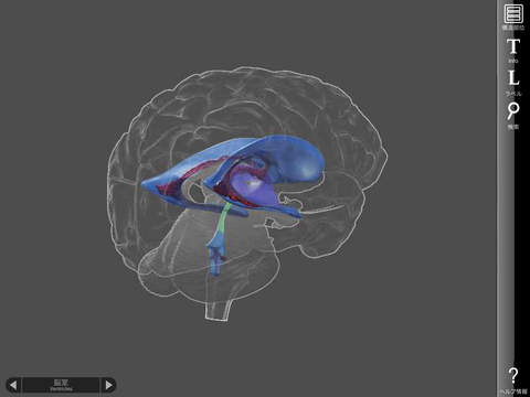 chromebook 3d brain app chromebook 3d brain app