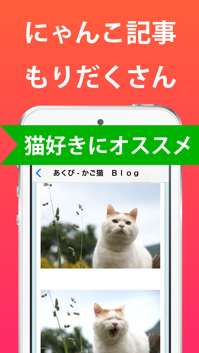 ねこまとめ〜可愛い猫画像&動画ニュースまとめアプリのおすすめ画像2