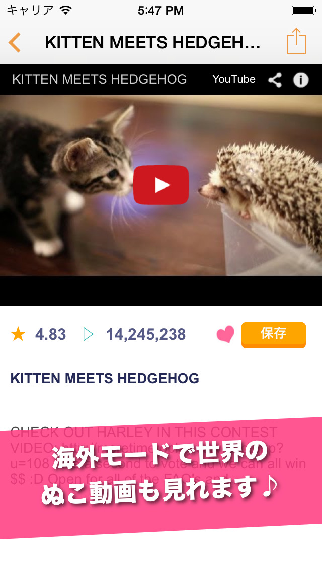 日刊ねこ動画 Cattube 猫動画まとめアプリ Iphoneアプリ Applion