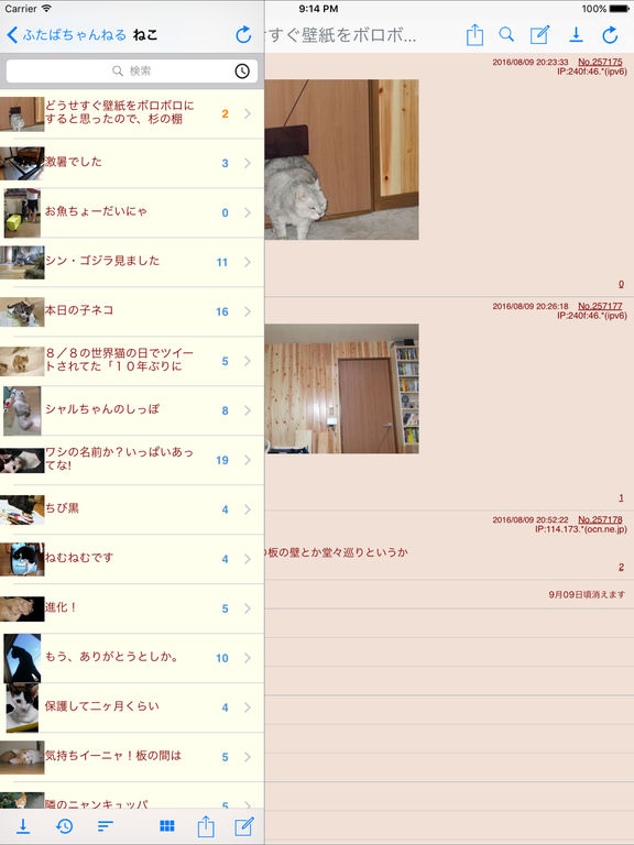 iPad スクリーンショット 2