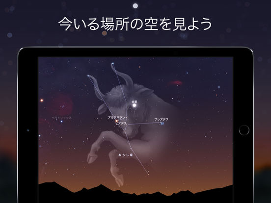 iPad スクリーンショット 1