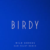 Birdy - Wild Horses (Sam Feldt Remix)