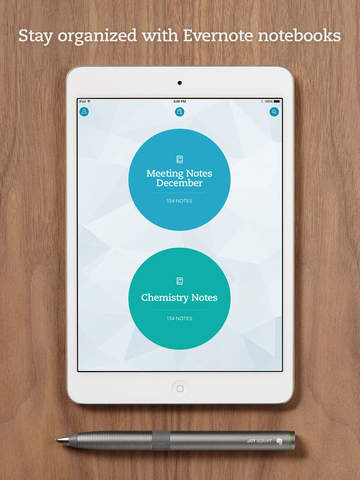 iPad Screenshot 5