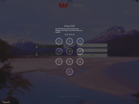 iPad Screenshot 3