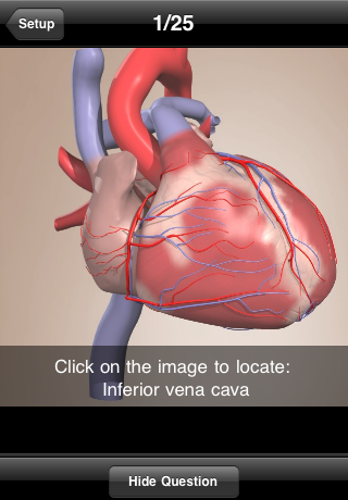 Free Primal Anatomy Quiz free app screenshot 2