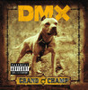Grand Champ, DMX