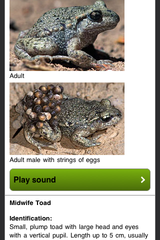 British Herps - Reptiles and Amphibians of the British Isles free app screenshot 1