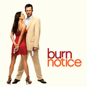 Burn Notice, Season 1 artwork