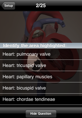 Free Primal Anatomy Quiz free app screenshot 3
