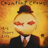 This Desert Life, Counting Crows