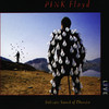 Delicate Sound of Thunder (Live), Pink Floyd