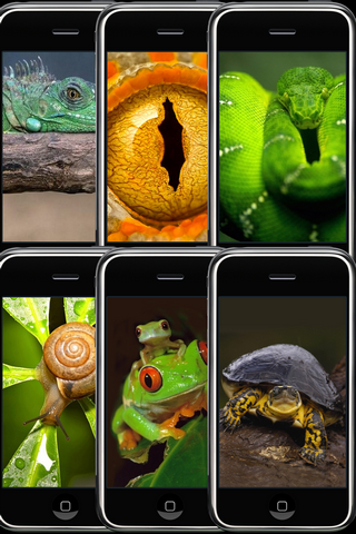 Animal Wallpapers Free free app screenshot 3