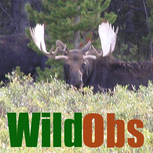 free WildObs Observer iphone app