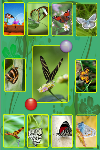 Butterfly Wallpapers & Backgrounds free app screenshot 4