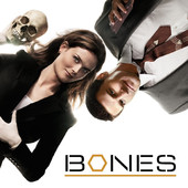 Bones, Season 3 artwork