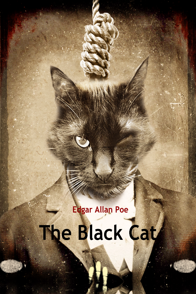 the black cat story by edgar allan poe