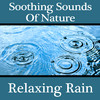 Soothing Sounds of Nature: Relaxing Rain, Dr. Sound Effects