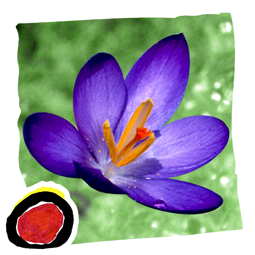 Spring Changes is an interactive story for kids about the most important changes of the spring season, told in brief, simple words and shown in beautiful seasonal photographs by Ellen B. Senisi.  (iPad version; by Auryn Apps)
