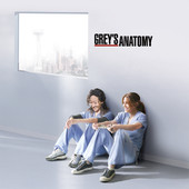 Grey's Anatomy, Season 8artwork