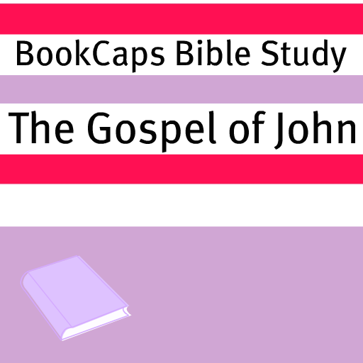 gospel of john  bible study