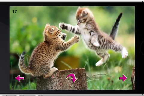 iCat