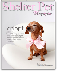 Shelter Pet Magazine 生活 App LOGO-APP開箱王