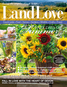 LandLove Magazine – loving the simpler things in life LOGO-APP點子